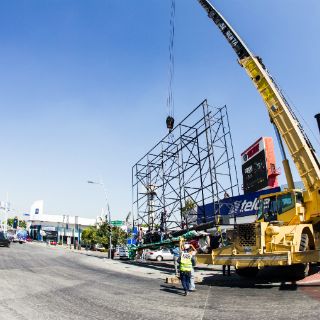 Plantean multas a quienes poden árboles por espectaculares