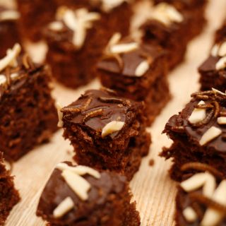 Gusanos de harina para criar y comer en casa