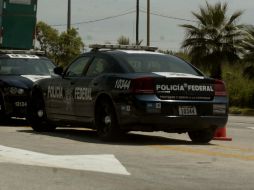 Los policías federales fueron alertados de los hombres armados mediante denuncia anónima. EL INFORMADOR / ARCHIVO