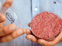 Científicos señalan que la carne in vitro es el camino para reducir el daño a los animales y al medio ambiente. ESPECIAL / fuentelatina.org