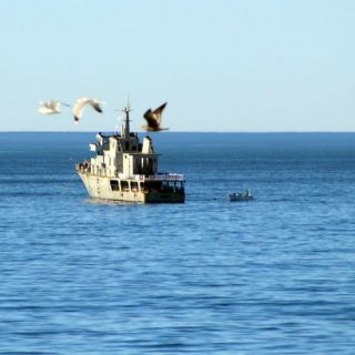 Marina rescata náufrago que estuvo seis días a la deriva