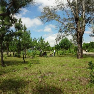Ampliarán la vigilancia en el Bosque Pedagógico del Agua