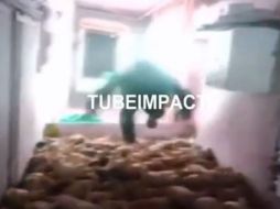 Los jóvenes difundieron un vídeo de su 'hazaña'. YOUTUBE / TUBEIMPACT!