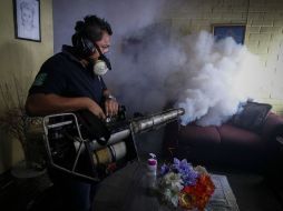 También recomiendan colocar mosquiteros en puertas y ventanas. EFE / ARCHIVO