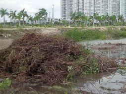Otros ciudadanos pidieron a los verdecologistas asumir el compromiso de frenar el proyecto. SUN / ARCHIVO