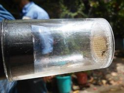 La evolución del virus del Zika es por lo general leve y no requiere hospitalización. EFE / ARCHIVO