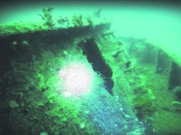 Los buzos podrán conocer un buque que naufragó hace 20 años. ESPECIAL / I. Beltrán