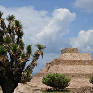 Estudio rompe con las ideas sobre los sacrificios de Tenochtitlán