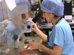 Los tratamientos de reproducción asistida aumentan las probabilidades de tener un bebé sano y disminuyen las probabilidades de abortos. EFE / ARCHIVO