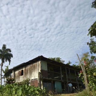 Colombia devuelve tierras a desplazados por su conflicto interno