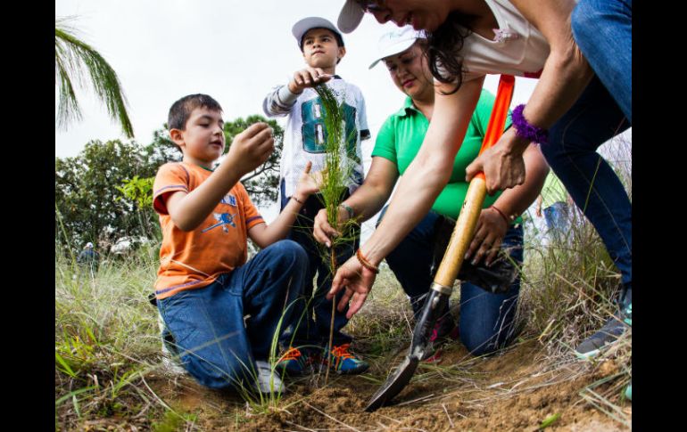 La semana que viene inicia un programa con Zapopan donde se van a plantar 50 mil árboles en los próximos 12 meses. EL INFORMADOR / ARCHIVO