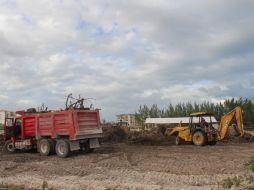 Lo más prudente es que la fauna se quede en el sitio, aunque se ayudaría a unos animales y perjudicaría a otros. TWITTER / @salvemostajamar