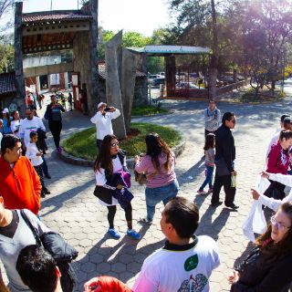 Interponen amparo para proteger Los Colomos