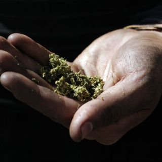 Casi un millón 800 mil menores han probado drogas en México