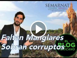 Pabloricardos cuenta cómo se han aliado Fonatur, Semarnat y Profepa contra el manglar. YOUTUBE / El Blog Mexicano
