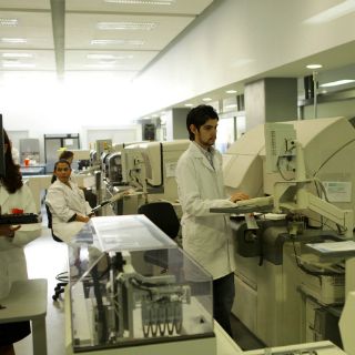 Buscan un posible tratamiento para la esquizofrenia