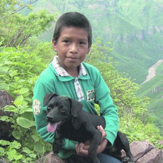 Talento tapatío con acento alemán