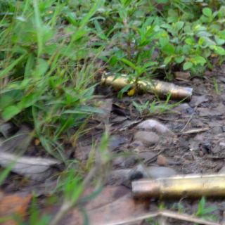 Autoridades de Arizona investigan muerte de familia hispana