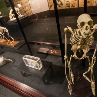 Fin de semana de ciencia y arte