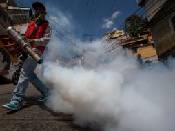 El virus se ha extendido con notable velocidad por el continente americano. EFE / M. Gutiérrez