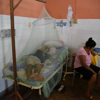 Dos casos apuntan hacia posible transmisión sexual del zika