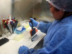 Aún no hay vacuna para hacerle frente al zika, por lo que recomiendan asistir a una clínica para recibir la atención necesaria. EFE / E. Arias