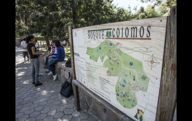 No podrá realizarse ninguna edificación o modificación en el área verde hasta que concluyan los procesos judiciales. EL INFORMADOR / ARCHIVO