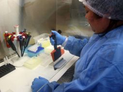 La Agencia Caribeña de Salud Pública avaló los resultados de un niño de 4 años que se recuperó luego de enfermarse de zika. EFE / ARCHIVO