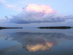 Río negro. Uno de los afluentes del Casiquiare. EL INFORMADOR / P. Fernández Somellera