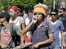 La política prohibicionista incluye el uso de la hierba con fines terapéuticos. EL INFORMADOR / ARCHIVO