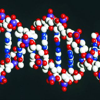 Reino Unido autoriza modificación genética de embriones humanos
