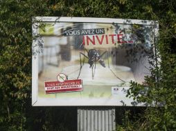 En diversos países se ha concientizado a la gente sobre el peligro. AFP / N. Derne