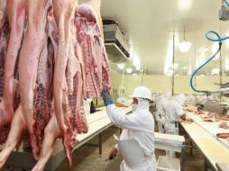 Establecimientos Tipo Inspección Federal (TIF) ubicados en cualquier estado son elegibles para hacer sus envíos de carne de cerdo. EL INFORMADOR / ARCHIVO