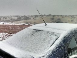 Peña Nieto ordena medidas preventivas ante la declaratoria de emergencia por una helada severa. NTX / Cortesía