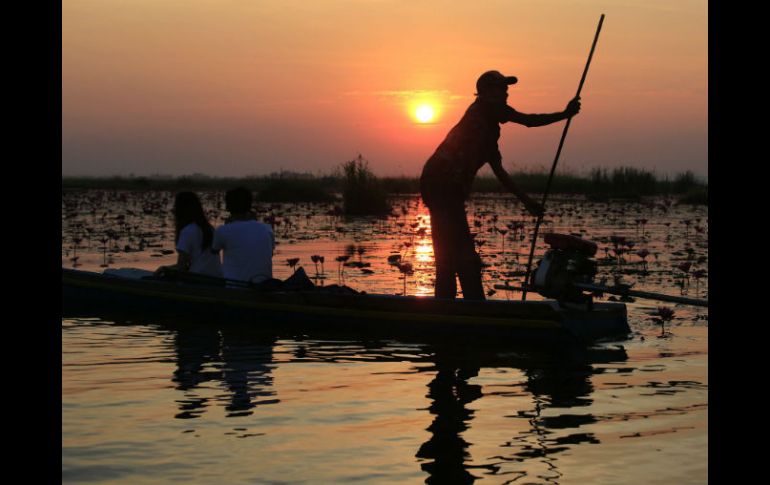 El país asiático vendió 145.9 toneladas de productos pesqueros a la UE en 2014 por valor de 642.2 MDE. EFE /  B. Walton