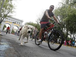 Destacan que ''el lunes se desarrolló la vía en su extensión normal''. EL INFORMADOR / ARCHIVO