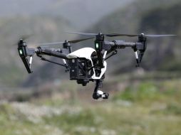 Entrenadores aprovechan los instintos de las aves para abordar el problema tecnológico de los drones en zonas vedadas. AP / ARCHIVO