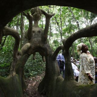 Reportan más de 650 muertos por brote de malaria en Uganda