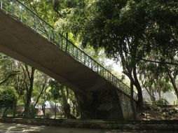 Parque Agua Azul. Hasta el 27 de enero, en Guadalajara se contabilizaron 33 mil 235 votos. EL INFORMADOR / ARCHIVO