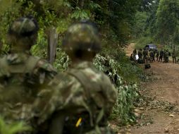 Los tres sentenciados pertenecían al Frente 39 del Bloque Oriental de las FARC. AFP / ARCHIVO