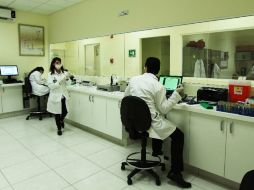 El hallazgo ayuda a lograr una mejor comprensión de los mecanismos implicados en el desarrollo de la enfermedad. EL INFORMADOR / ARCHIVO