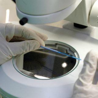 Es ético ensayar con embriones de tres personas