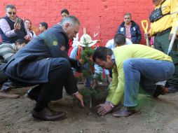 Las zonas donde se llevarán a cabo las reforestaciones están basadas en la estrategia territorial Zapopan 2030. EL INFORMADOR / P. Franco