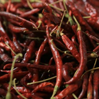 Juegos y alimentos olmecas siguen vigentes al paso de la historia