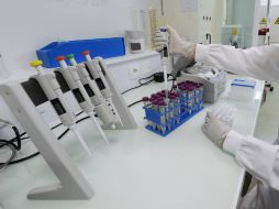 Las pruebas genómicas buscan identificar a los genes que provocan el cáncer para después bloquearlo. AFP / ARCHIVO