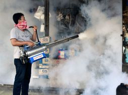 La OMS también explica que siete países han informado de un aumento en la incidencia de casos de microcefalia. AFP / B. Ismoyo