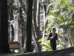 En 2016, el bosque tiene presupuestados 7.5 millones de pesos para su mantenimiento. EL INFORMADOR / F. Atilano