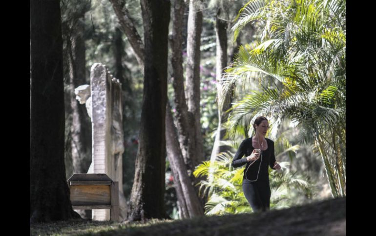 En 2016, el bosque tiene presupuestados 7.5 millones de pesos para su mantenimiento. EL INFORMADOR / F. Atilano