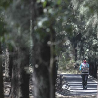 Analizan ampliar rutas de camión a Los Colomos