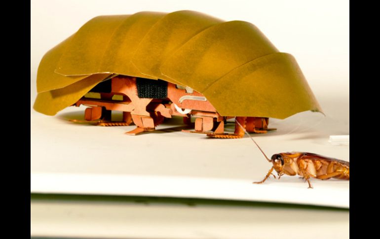 El robot podrá facilitar las tareas de rescates tras grandes catástrofes detectando la existencia de sobrevivientes. AP / T. Libby